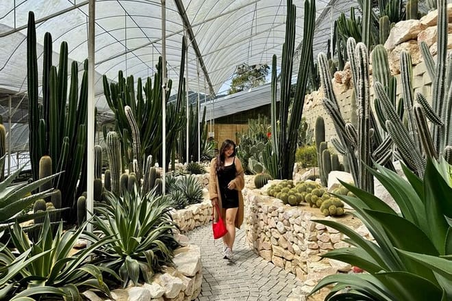 Cameron Highlands with Lunch Guided Day Tour (SIC/Shared Tour) 3
