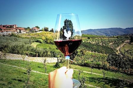 Exclusive Chianti Classico Wine Tour: Grape to Glass Experience in Tuscany