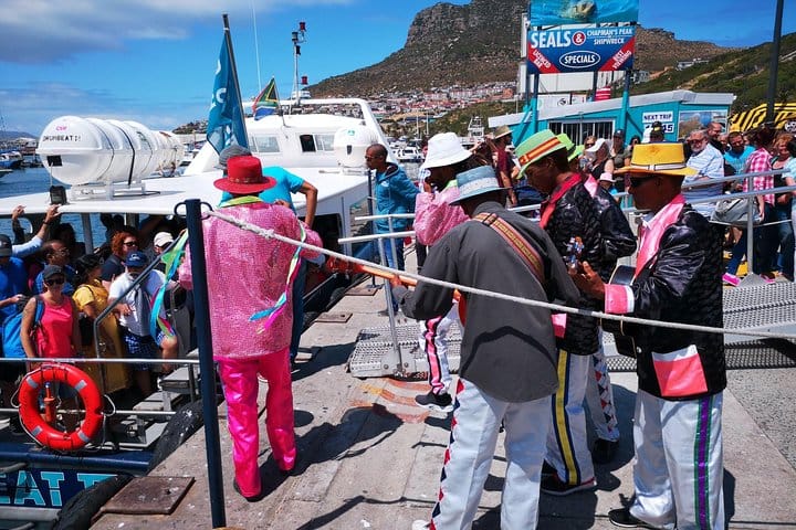 "Welcome back" from Seal Island Hout Bay