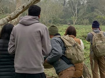 Jungle Walk