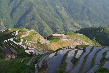 Longji Rice Terraces Dazhai Rice Terraces via ropeway Tour
