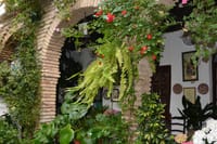 Festival de los Patios Cordobeses