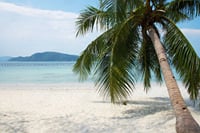 Phuket Racha and Banana Beach 9