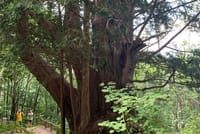 Shinhotaka Ropeway & Hiking Day Tour from Takayama 2