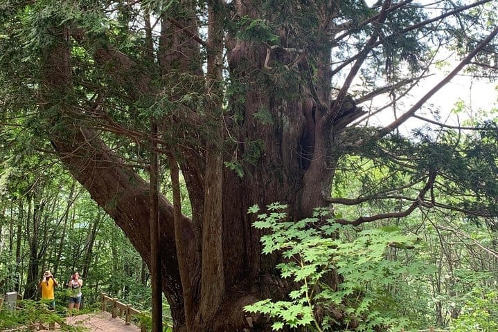 Shinhotaka Ropeway & Hiking Day Tour from Takayama 2
