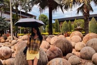 Private Nong Nooch VIP Tour Skywalk Dinosaurs and with Lunch 2