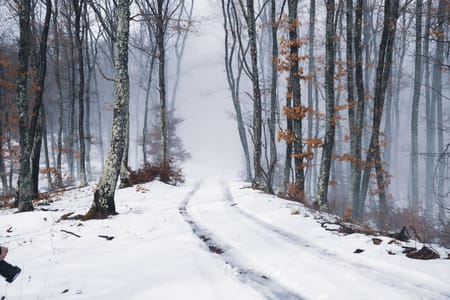 Private Tour of Tbilisi National Park: Monasteries, Forests & Lakes