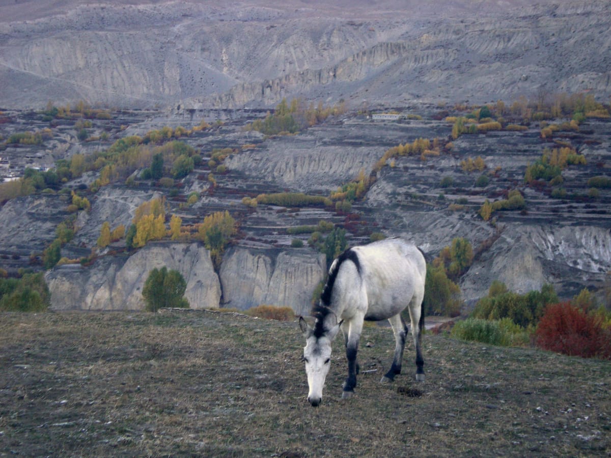 19 Days Mera Peak Climbing & Expedition – One Life-Changing Himalayan Adventure