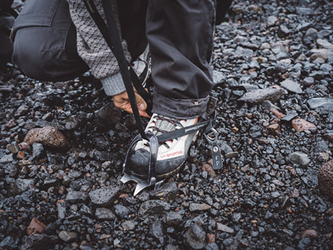Glacier Encounter , photo 4