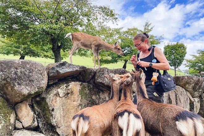 Nara Half Day Trip Walking Tour (Private Option Available) photo 5