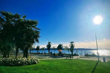 Vancouver Cruise Shore Excursion Tour