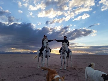 2-Hour Horse Riding in the Desert and by the Sea