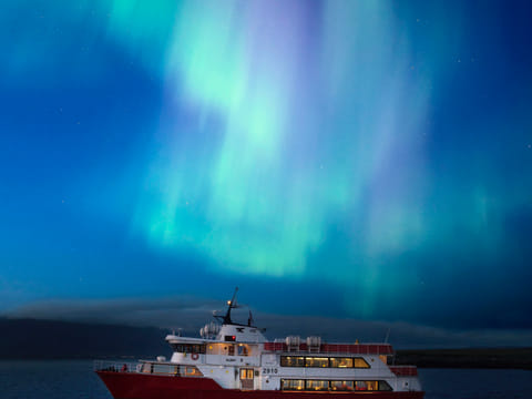 Northern Lights Cruise & FlyOver Iceland, photo 4