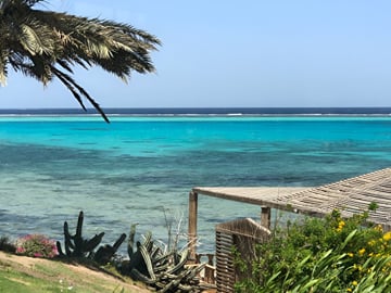 A scenic beach view in Hurghada featuring vibrant turquoise waters, a sandy shoreline, and lush coastal greenery under a clear blue sky.