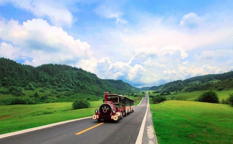Wulong Karst National Park Day Tour from Chongqing