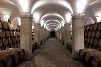 Carcavelos Wine Cellar