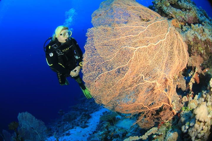Aquatic Adventure Escape (2–4 days)