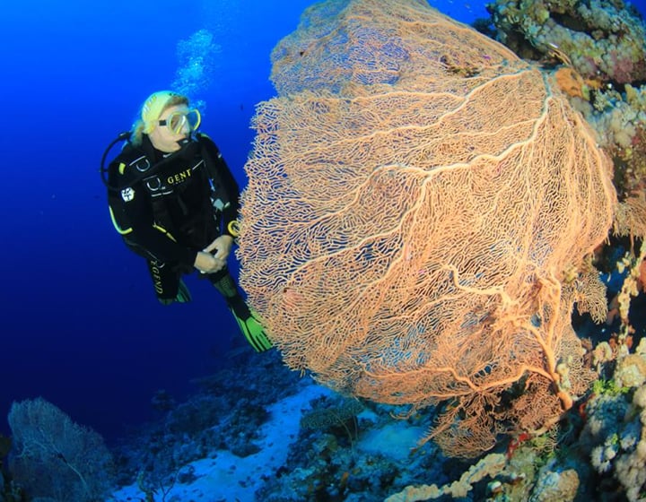 Aquatic Adventure Escape (2–4 days)