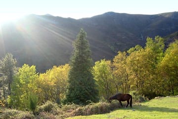 Peneda-Gerês National Park Private Tour