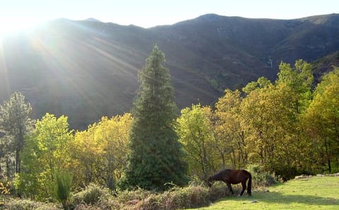 Private Day Trip to Peneda-Gerês National Park from Porto