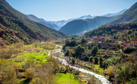 Private Full Day Adventure Tour in Ourika Valley from Marrakesh