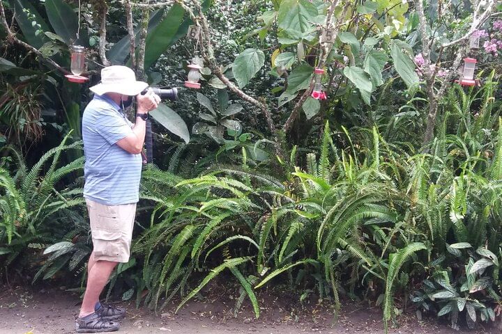 Private Tour to Mindo with Hummingbird Reserve, Tarabita and Butterfly Farm