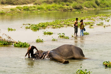 4 Days – Chitwan National Park Safari Wildlife Discovery (Filming Option)