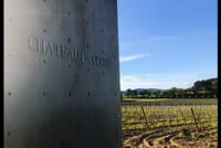 "Cézanne and Vinyards" Aix-en-Provence and Wine Tasting 9