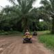 Phuket Eco Exploration Raft Ride & Discover Tour from Khao Lak