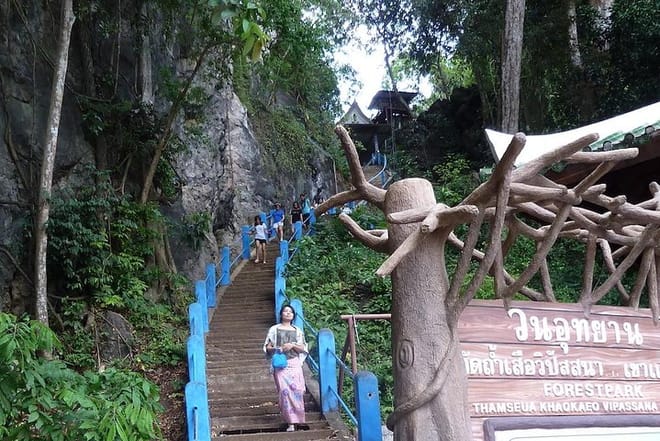 Thailand’s Last Lowland Rainforest – A Hidden Gem Tour photo 6