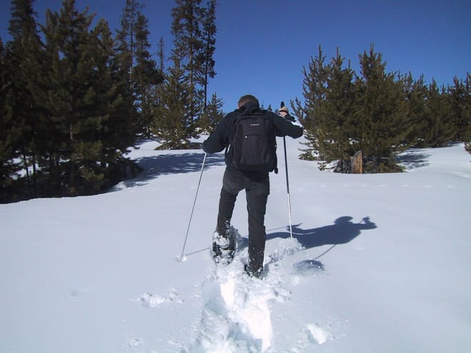 Snowshoeing in Lapland Wilderness  4