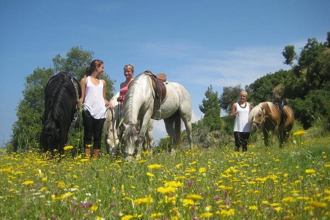 Alanya horse safari