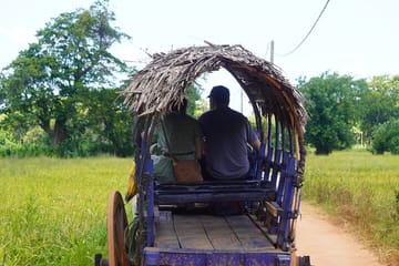 9-Day Cultural and Nature Tour in Sri Lanka's Ella and Galle