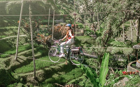 Private Kintamani and Tampaksiring Village Tour in Bali