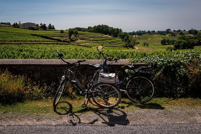 Saint Emilion Wine Tour by E-Bike- Bordeaux Pick up and drop off - Photo 1