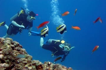 Scuba Diving Tour From Kusadasi / Selcuk