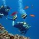 Scuba Diving