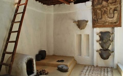 Private Cultural Tour of Konya and Catalhoyuk with Lunch