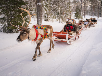Winter Adventure Reindeer Safari in Rovaniemi, Santa Claus Village