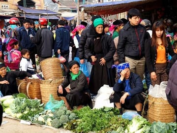 Ha Giang Loop Tour: The highlights of Ha Giang in 3 days