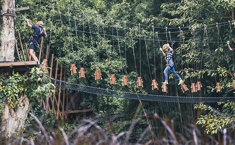 Phoenix Zipline Adventure Park Self-Guided High Ropes Course, Chiang Mai