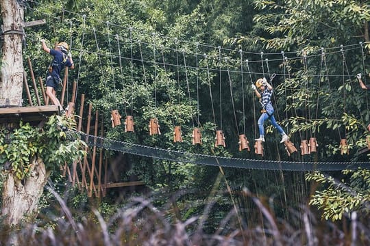 Phoenix Zipline Adventure Park Chiang Mai