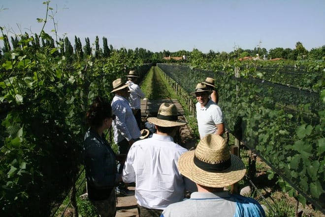 Visit Kaiken Winery