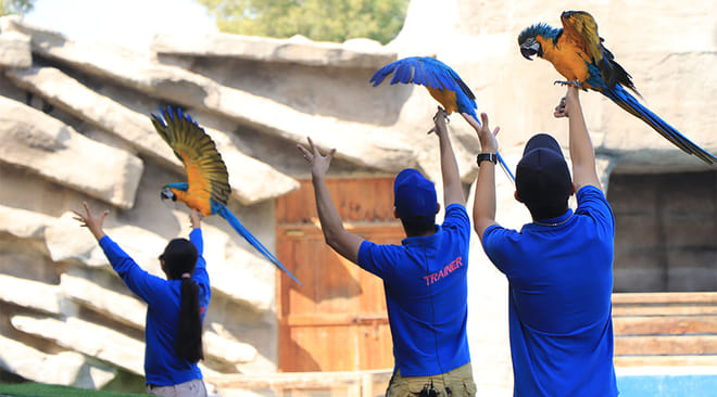 Emirates Park Zoo Abu Dhabi Tickets photo 5