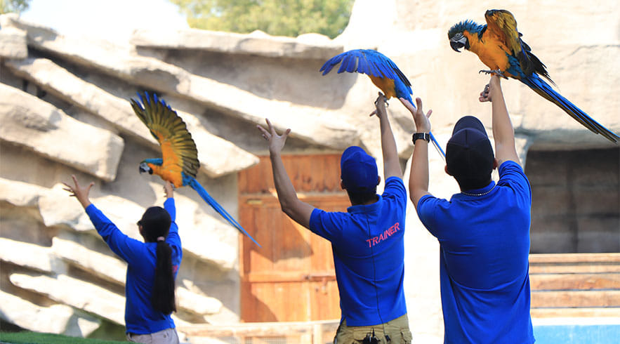 Emirates Park Zoo Abu Dhabi Tickets 5