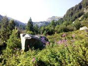 Private & Tremendous Jeep Safari in the 7 Rila Lakes area 8