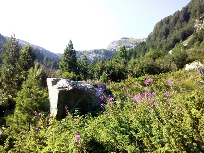 Private & Tremendous Jeep Safari in the 7 Rila Lakes area 8
