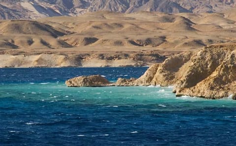 Half-Day Bus Tour of Ras Mohamed Nature Reserve, Sharm El Sheikh