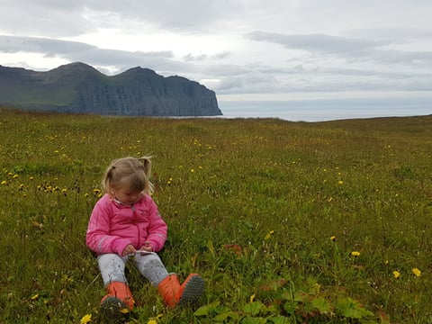 Hornvík - Ísafjörður, photo 5