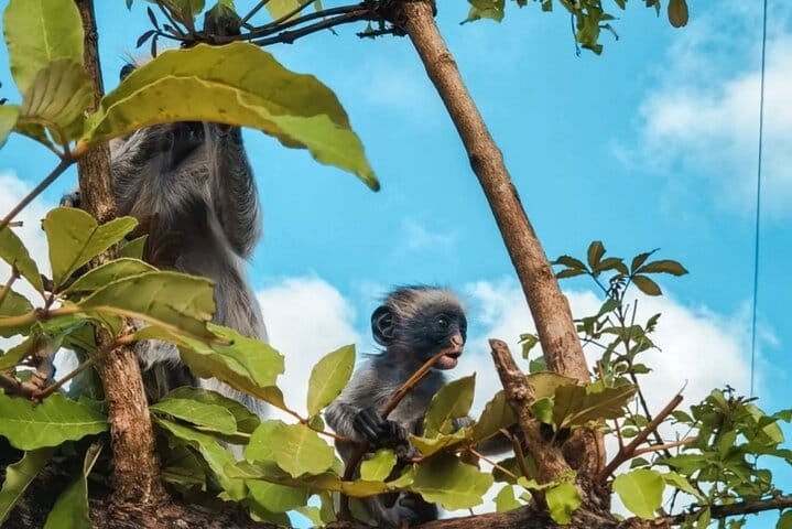 Zanzibar Jet Ski Adventure with Drone in Kendwa and Nungwi Beach